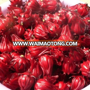 Fresh Roselle calyxes